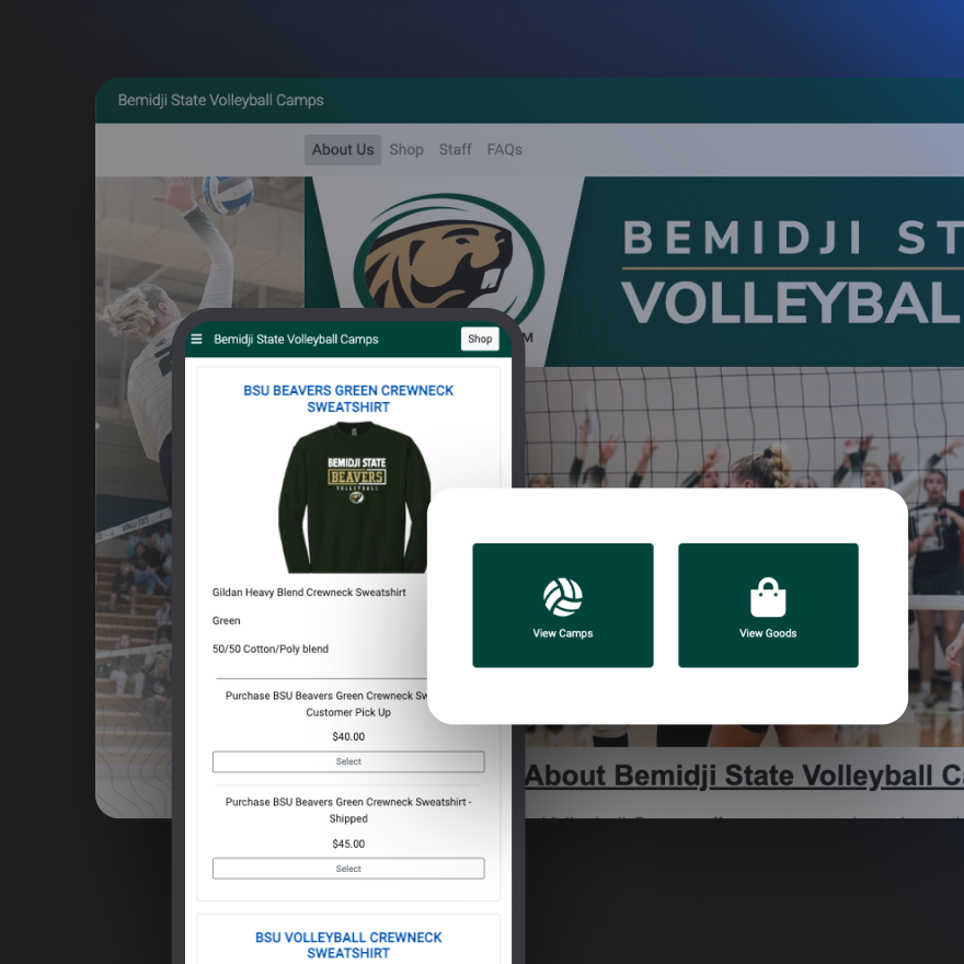 Custom Website & Online Store