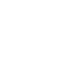 Data Visualization