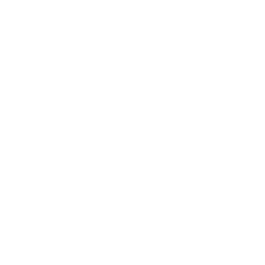 Document Upload